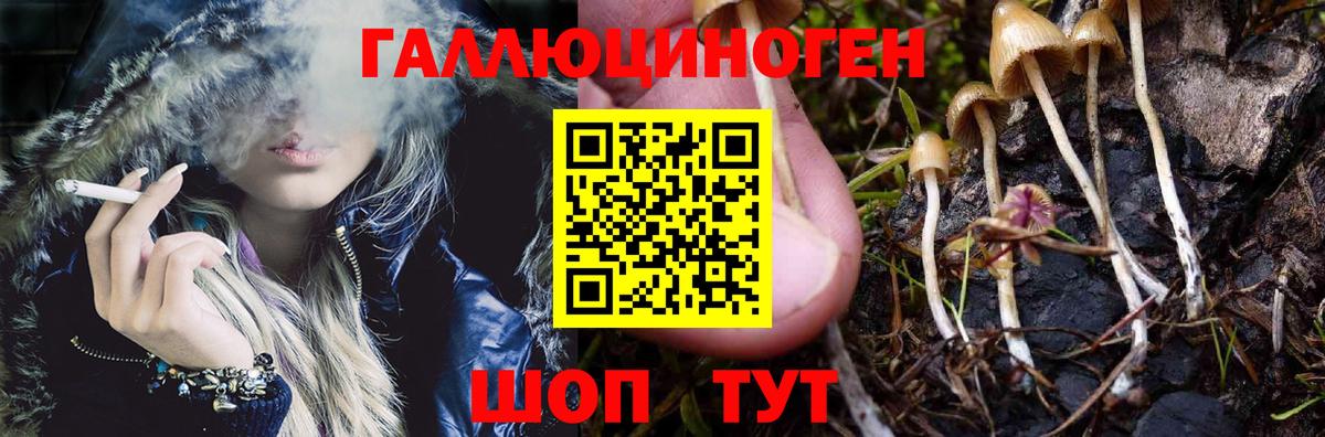 Великий Новгород  Псилоцибиновые грибы Cubensis  Вход с VPN 