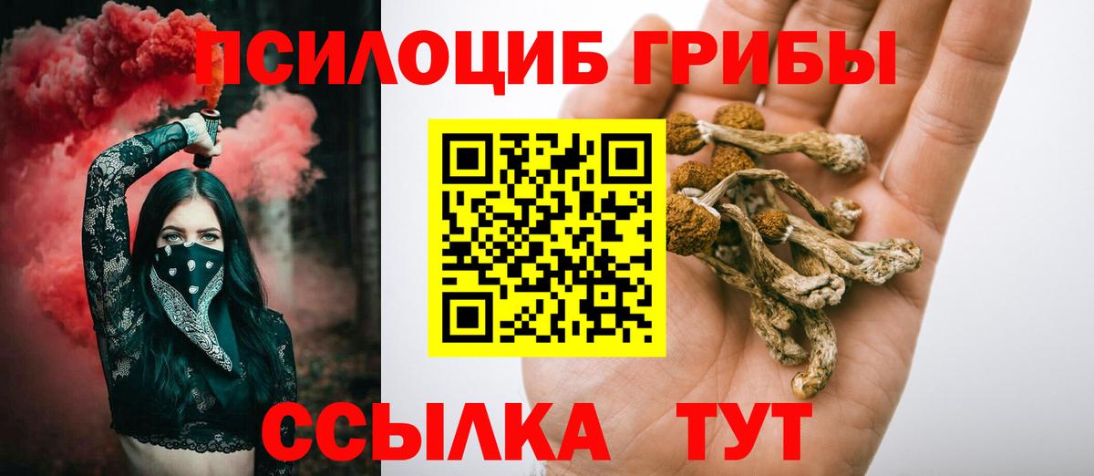 Галлюциногенные грибы мицелий Великий Новгород